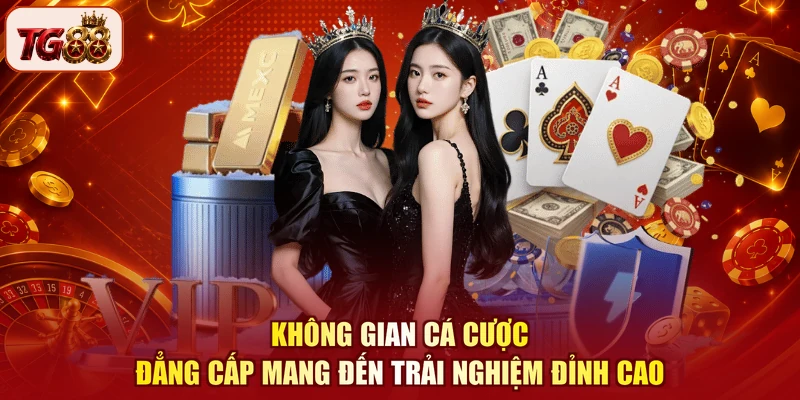 Không gian cá cược đẳng cấp mang đến trải nghiệm đỉnh cao