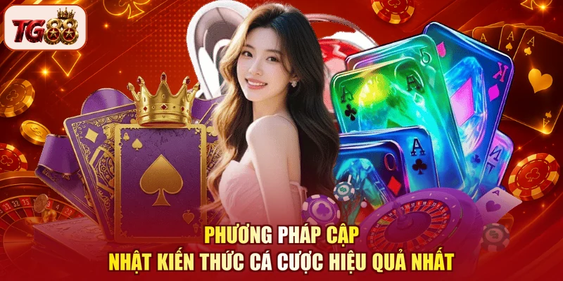 Phương pháp cập nhật kiến thức cá cược hiệu quả nhất